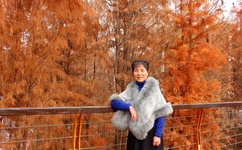 欧美性做爰片免费